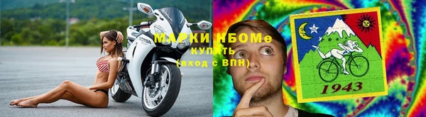 мет Алексин