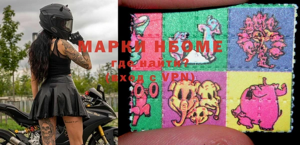 мет Алексин