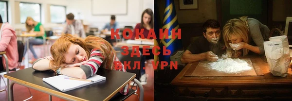 мет Алексин
