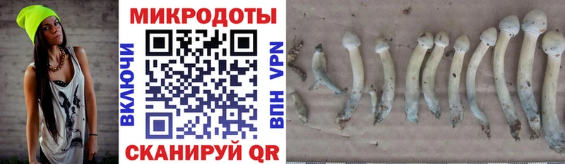 сколько стоит  OMG маркетплейс  Галлюциногенные грибы Cubensis  Кинель 